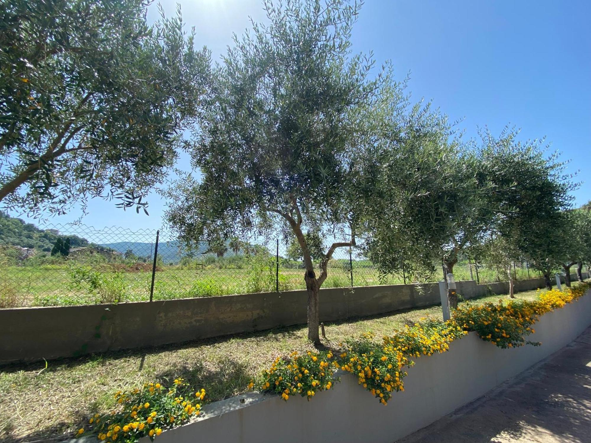 Miro' Agropoli Panzió Kültér fotó