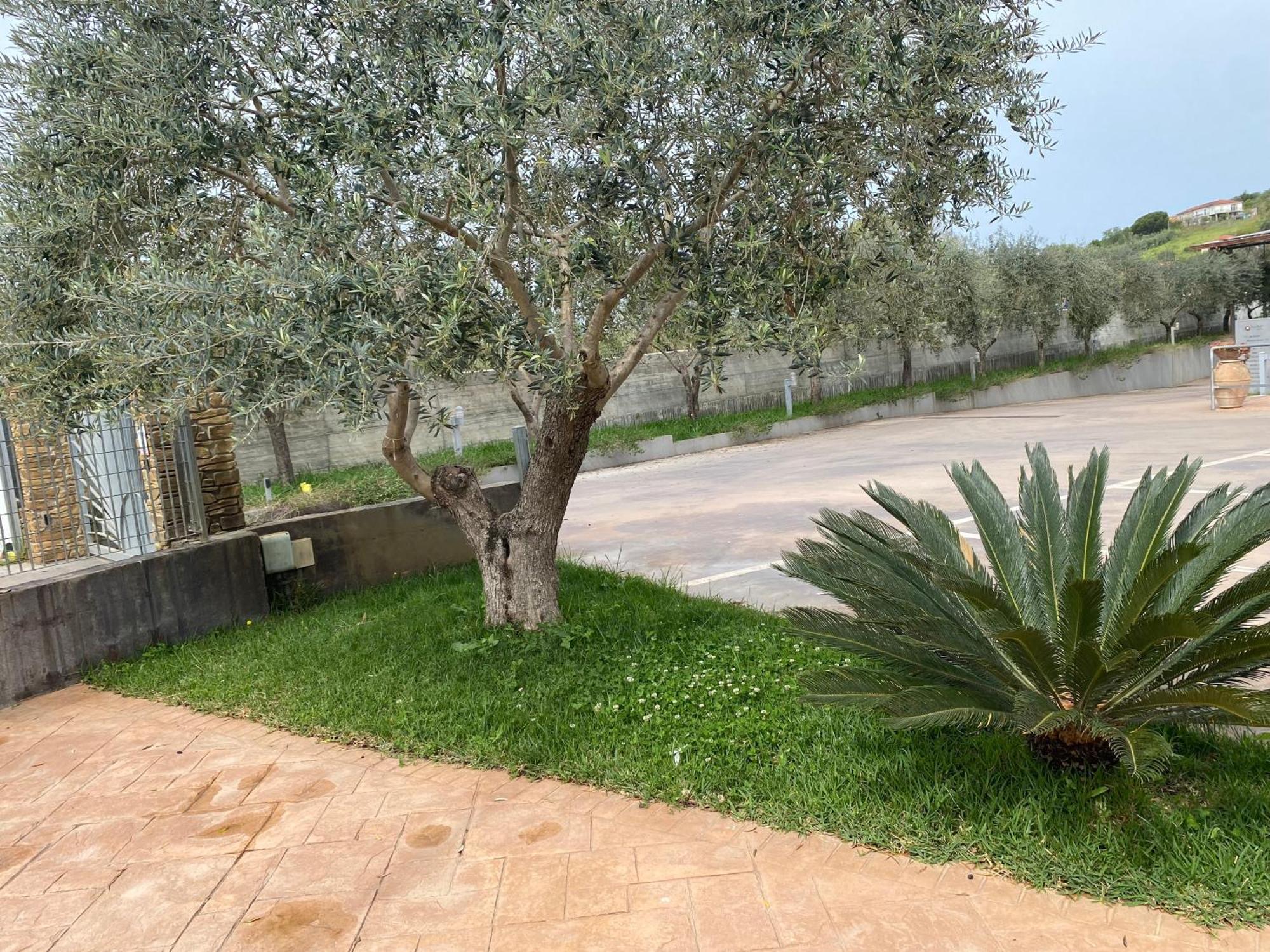 Miro' Agropoli Panzió Kültér fotó