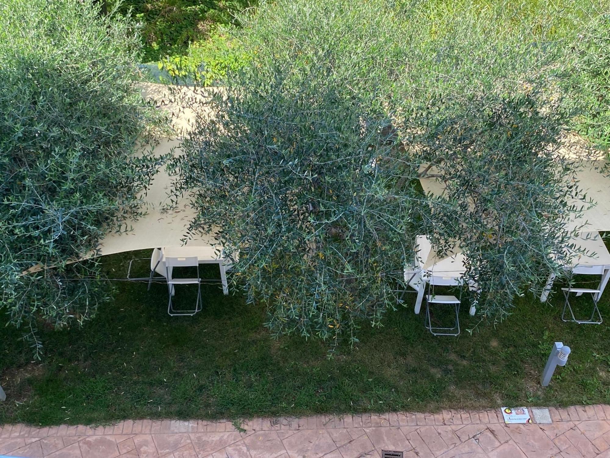 Miro' Agropoli Panzió Kültér fotó